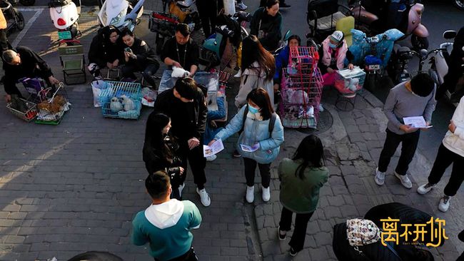 记取片《离不开你》直戳泪点 从宠物离世学会爱与珍惜