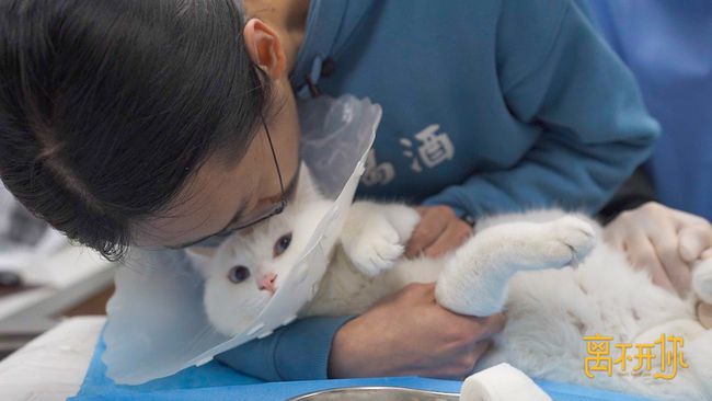 记取片《离不开你》直戳泪点 从宠物离世学会爱与珍惜