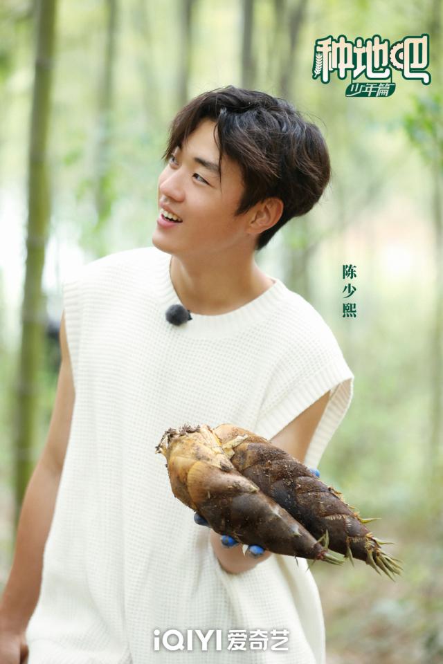 陈少熙
