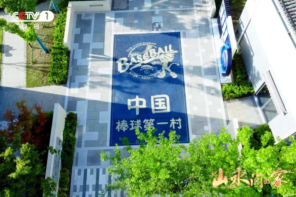 《山水间的家》：创意枸杞助产业振兴，“千万工程”绘乡村蝶变