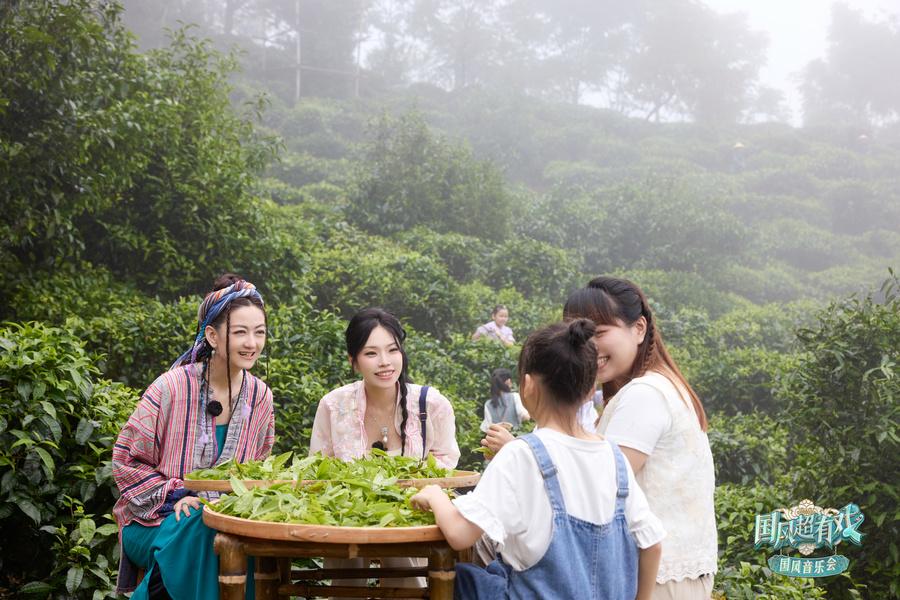 茶山