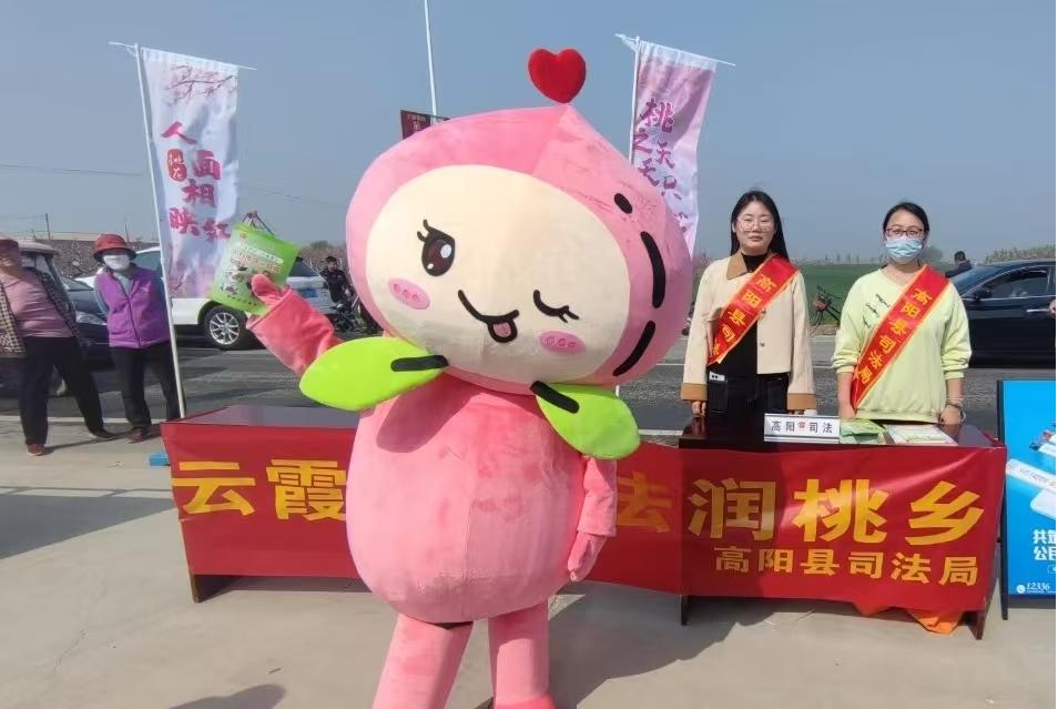图片3