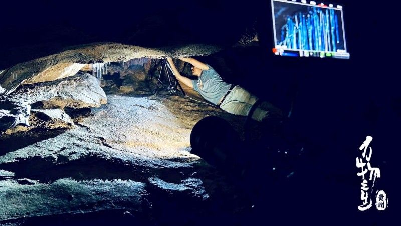 8K生态人文纪录片《万物之生•贵州篇》于2024年4月登陆央视财经频道首播，并于各大网络平台热播。据了解，央视热播期间突破同期晚十点档最高收视，并被新华社、光明网、中国绿发会、网易科技等央媒、机构重点推荐，其短视频系列同时在微博、抖音、快手、视频号、B站等新媒体平台获得网友热议。多次登上微博同城榜热搜、快手热榜，总浏览量超过1亿+，被网友称为“贵州最好的一张名片”。
