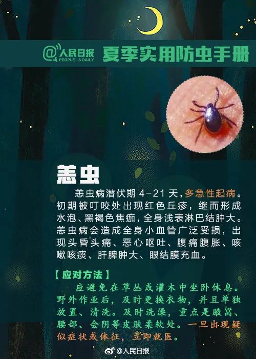 当心！měng虫预警！东莞这个季节很常见…