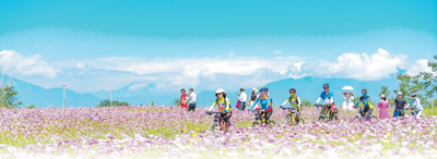 �Ĵ�ʡ�ϳ������г����̬���콣��ҳ���ֲ����� �����˴���ͬһ��������