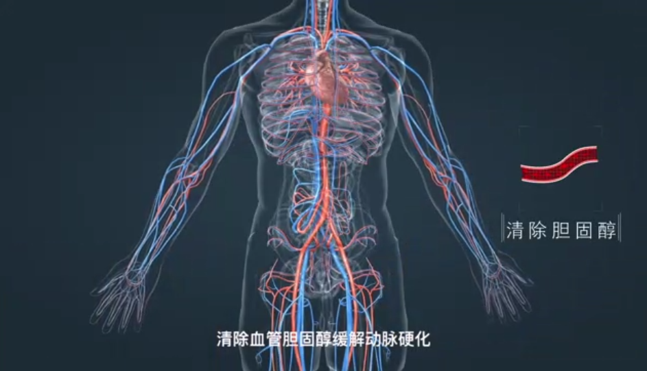 http://yweb1.cnliveimg.com/1753/img/2023/0329/1680077144237.png