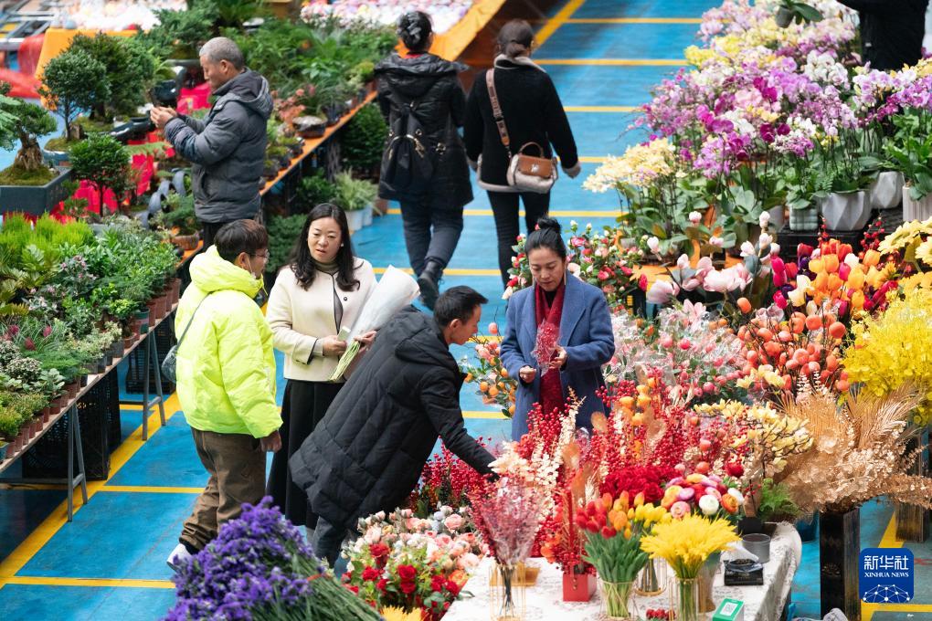 6686体育下载四季中国｜在斗南秀出鲜花“新花样”(图2)