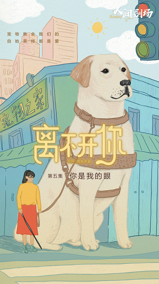 爱奇艺纪录片离不开你直击导盲犬的4次分离从分离中感受爱与责任