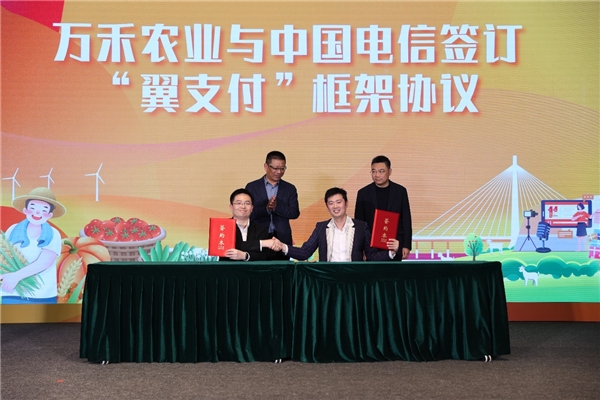 当前位置:>首页>头条新闻>11月20日,由崇明万禾农业承办的2023年崇明
