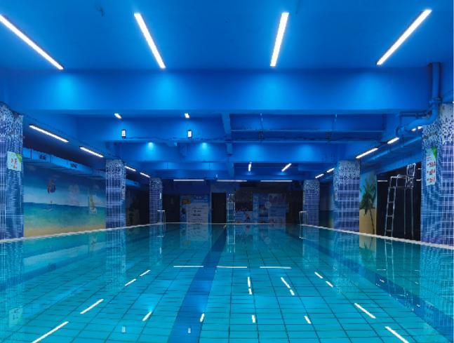 领泳游泳培训教学机构从早鸭子到水中蛟龙的蜕变