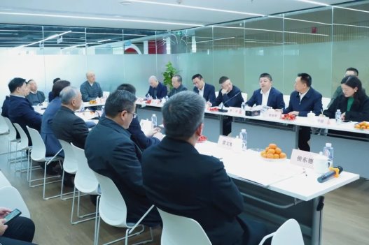 开门迎温暖重庆市政协副主席党组副书记李静一行莅临开林集团调研指导