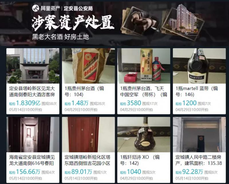 "黑老大"王世开作为定安地区乃至全省知晓的"定安鸡哥",以其为首的黑