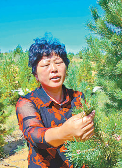 殷玉珍:治沙造林三十二年 改造沙地七万多亩